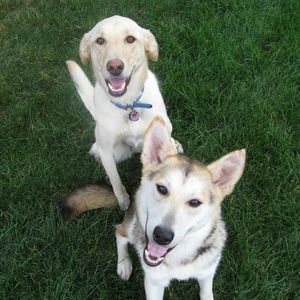 Meet your Posher, Julie